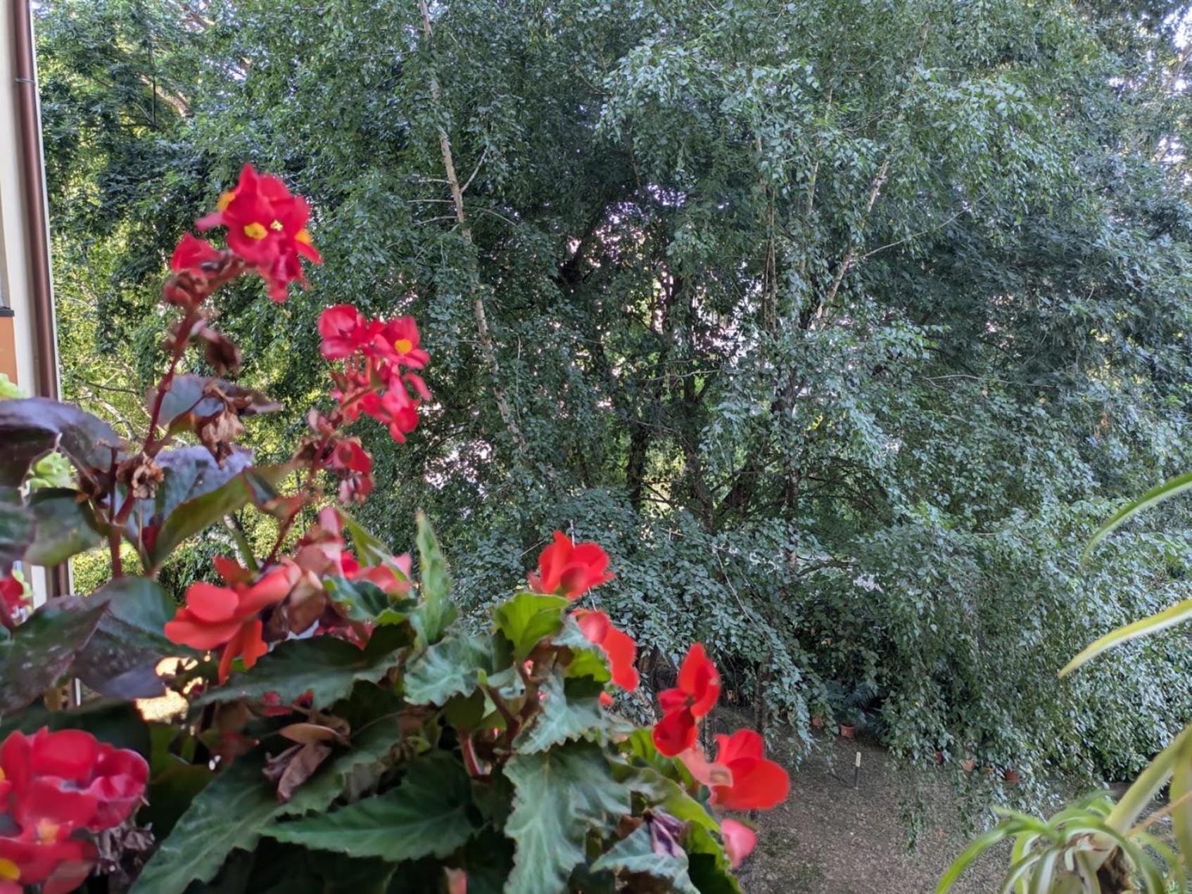 Appartamento Viale Puccini - Free Gated Parking - 3 Minutes From Center Lucca Exterior photo